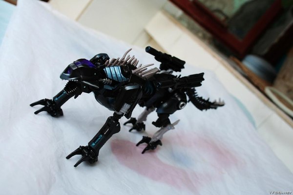 Rotf Ravage Alternate Mode  (18 of 28)